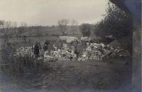 59 - Regimentsnachschub im Feld 10.11.1915